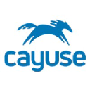 Cayuse