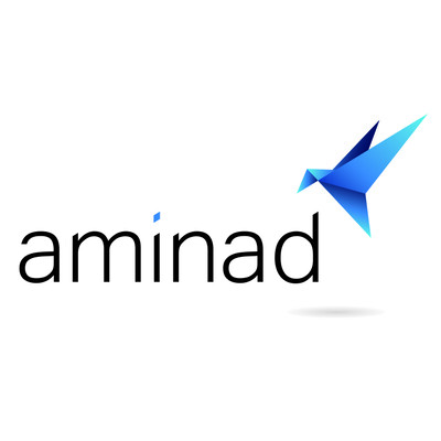 Aminad Consulting