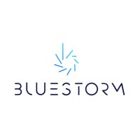 Bluestorm Web 3 0 Amp Ai Talent Specialists