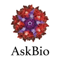 Asklepios Biopharmaceutical Inc Askbio