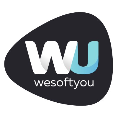 Wesoftyou Inc