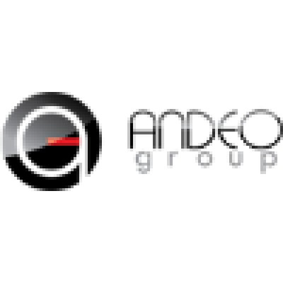 Andeo Group Llc