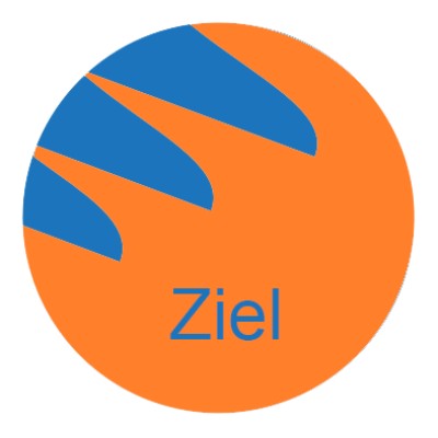 Ziel Global