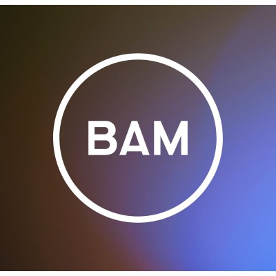 Bam Strategy