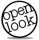Open Look Business Solutions Inc