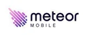 Meteor Mobile Holdings Inc