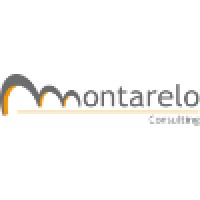 Montarelo Consulting