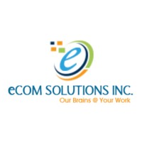 Ecom Solutions Inc