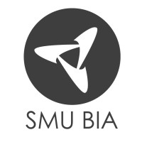 Smu Business Intelligence And Analytics