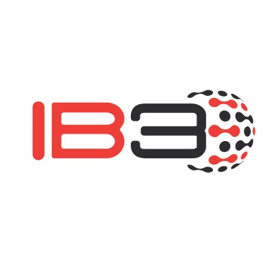 Ib 3 Global Solutions