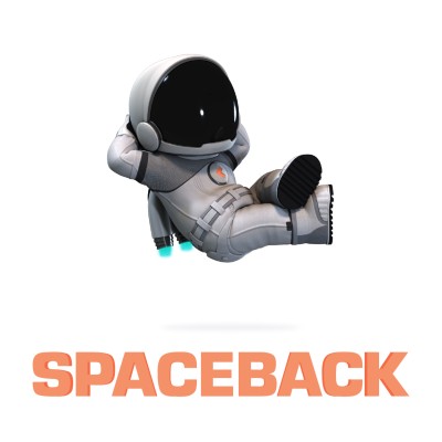 Spaceback Social Display