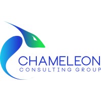 Chameleon Consulting Group Llc