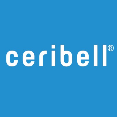 Ceribell │ Point Of Care Eeg